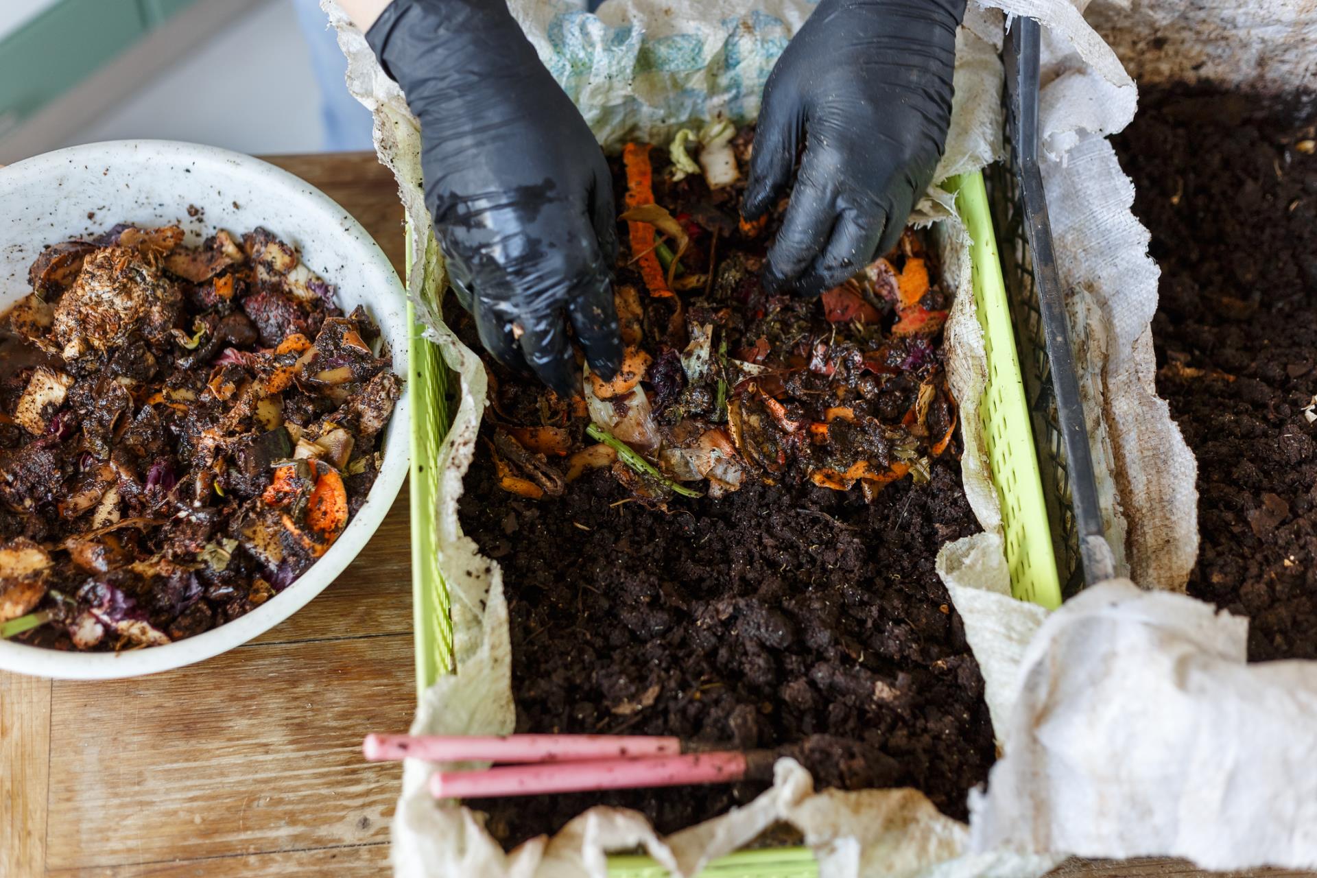 Food waste diversion program kicks off