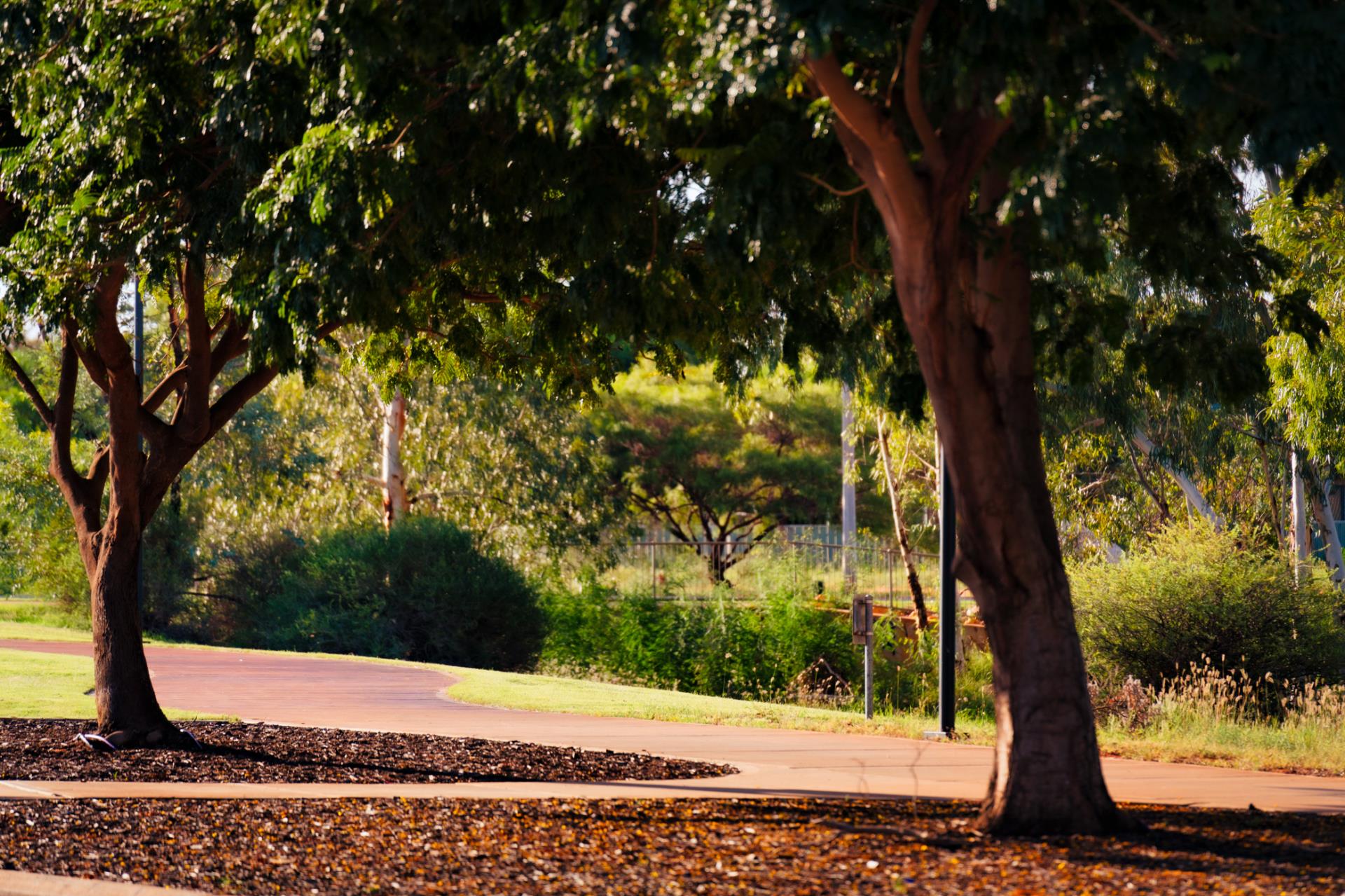 Community notice – verge maintenance services