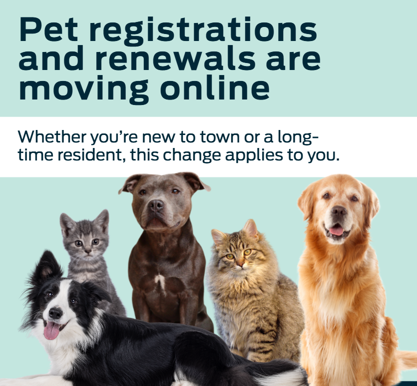 Pet registrations and renewals are going digital