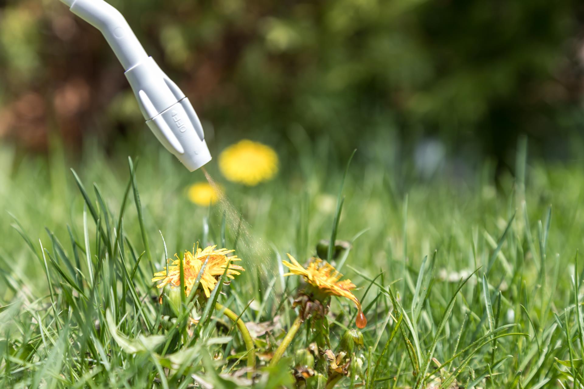 Controlling weeds in community parks