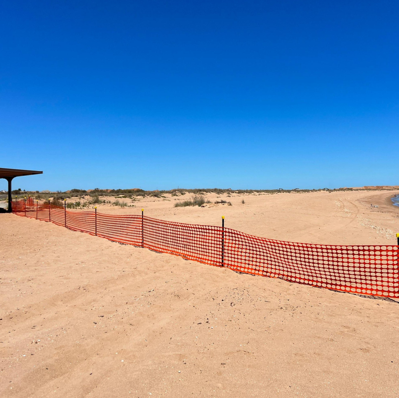 Spoilbank Beach access limited for turtle safety